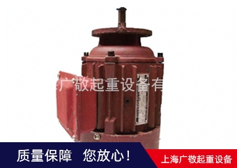 南京總廠電機  6級電機 8級電機廠家批發