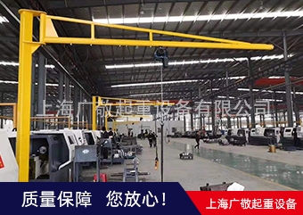 蜜桃视频无码区在线观看懸臂吊
